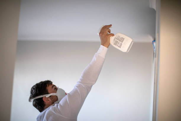 Best Commercial Mold Remediation in Spring Hill, KS