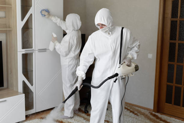 Best Post-Flood Mold Remediation in Spring Hill, KS
